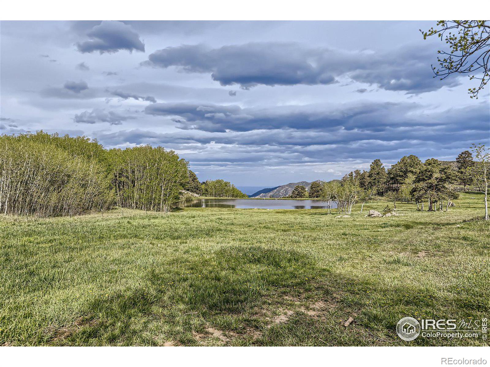 MLS Image #26 for 641  ranch road,ward, Colorado