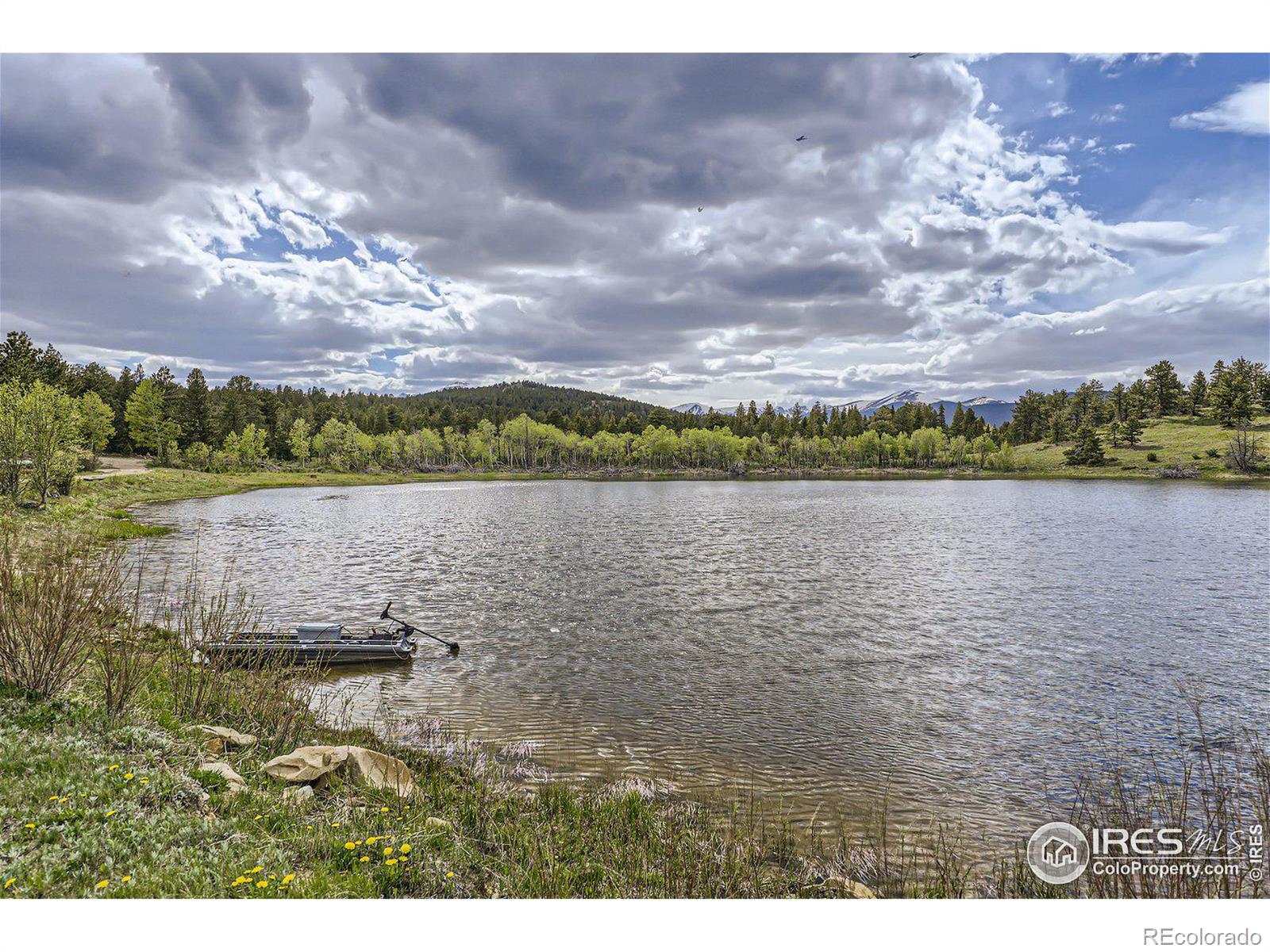 MLS Image #27 for 641  ranch road,ward, Colorado