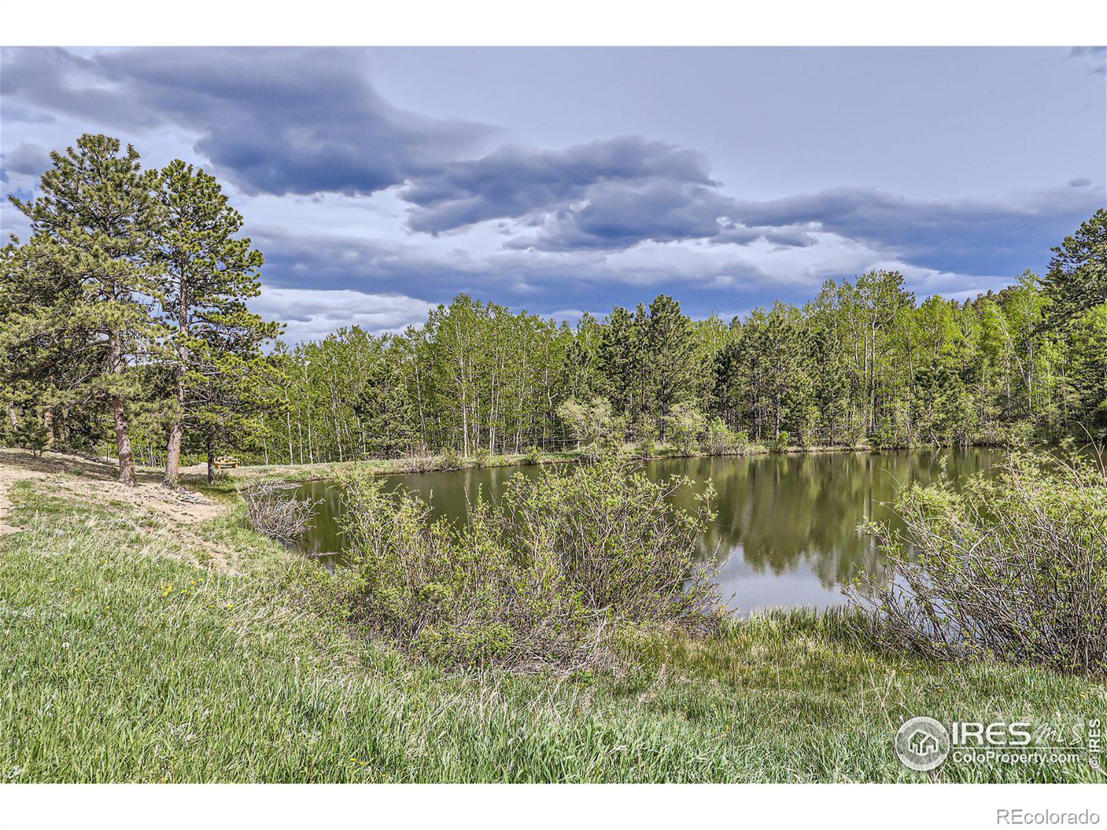 MLS Image #29 for 641  ranch road,ward, Colorado