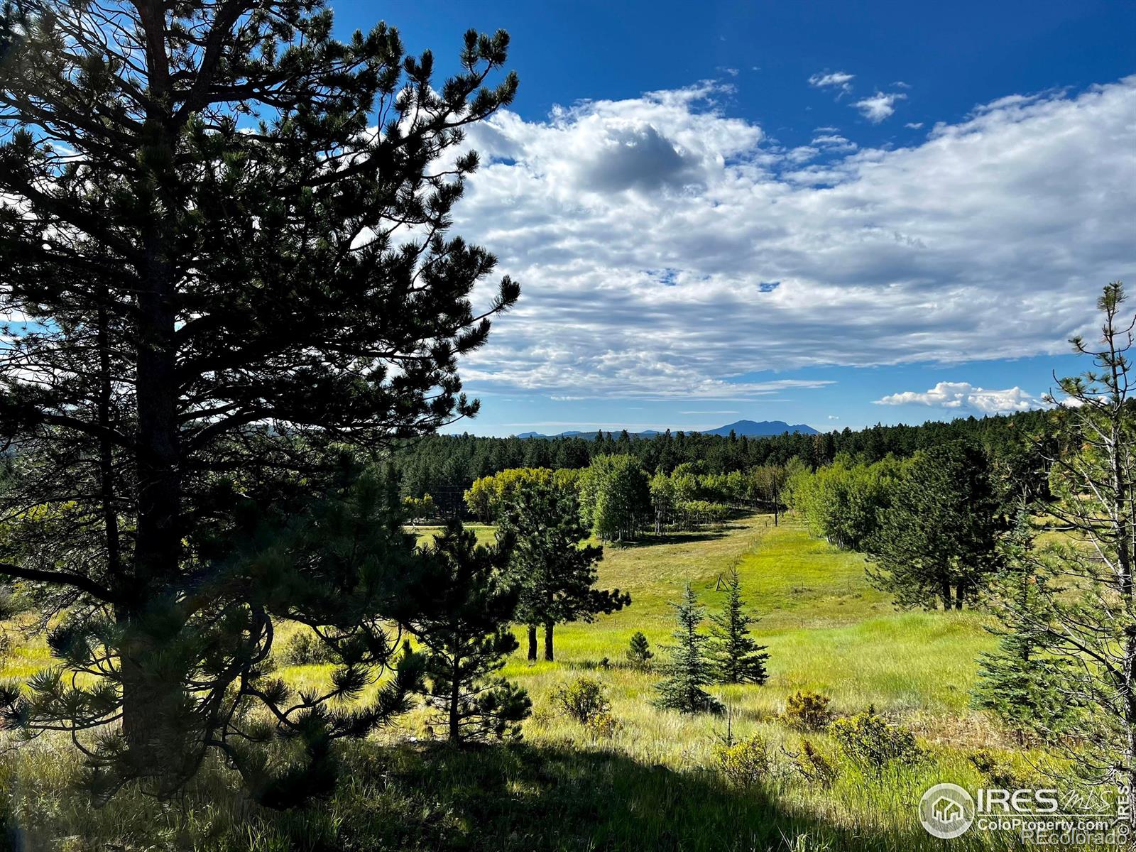 MLS Image #35 for 641  ranch road,ward, Colorado