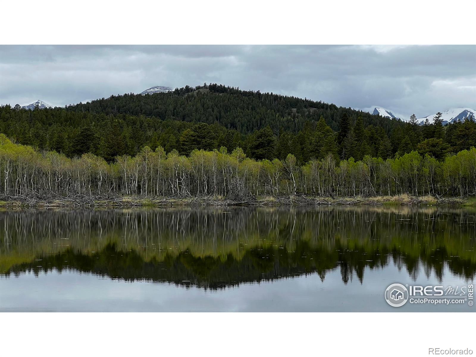 MLS Image #36 for 641  ranch road,ward, Colorado