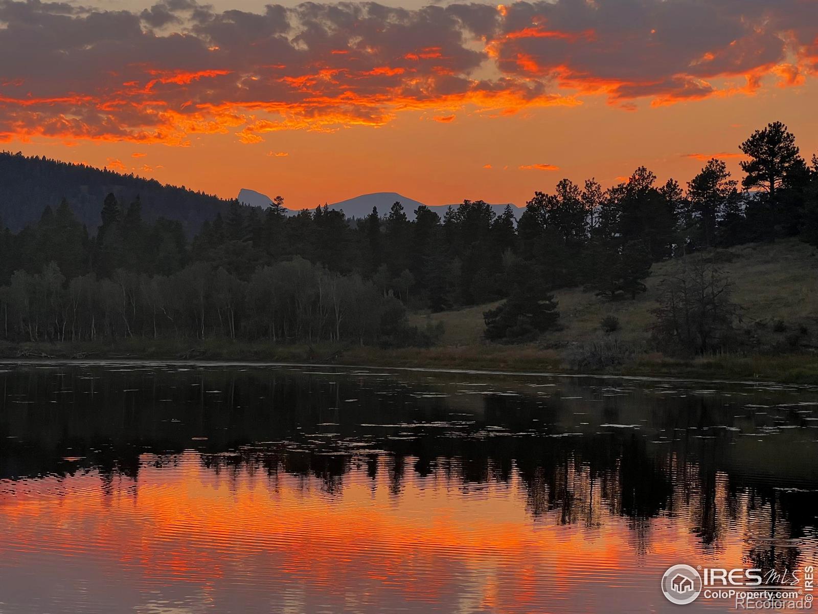 MLS Image #37 for 641  ranch road,ward, Colorado