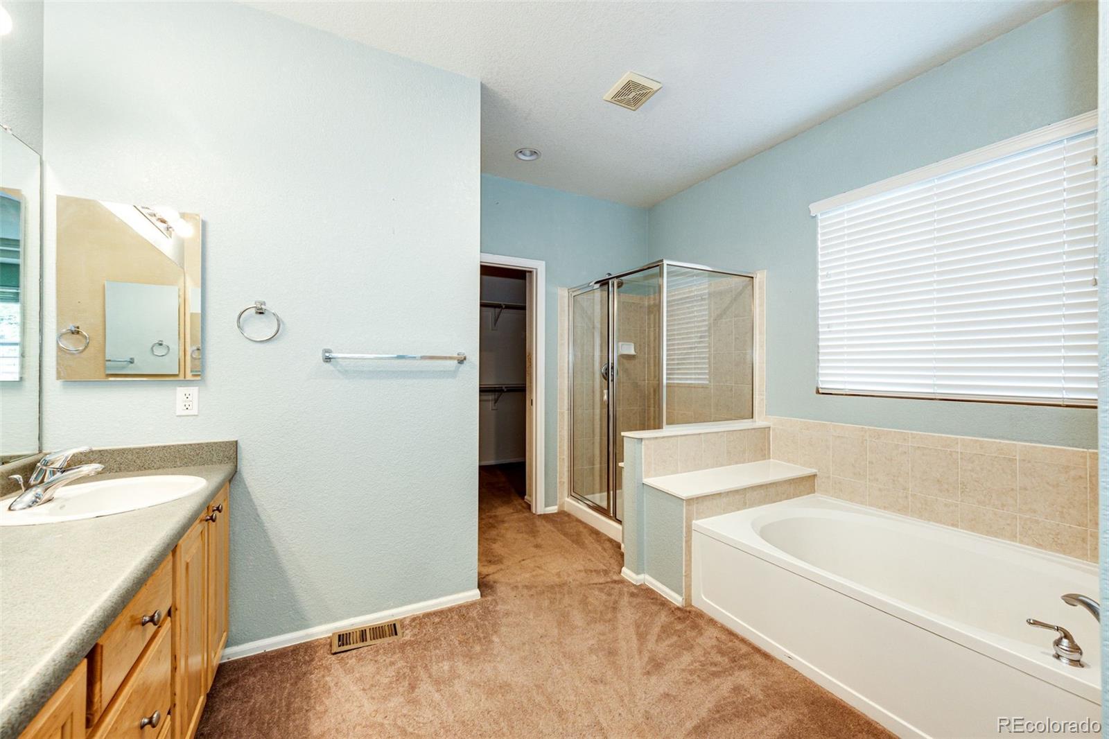 MLS Image #21 for 22672 e long drive,aurora, Colorado