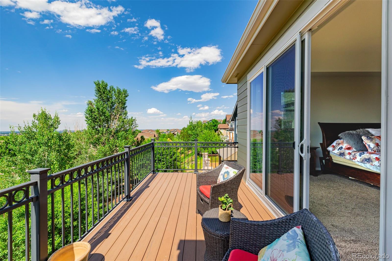 MLS Image #24 for 2905  newbury court,highlands ranch, Colorado