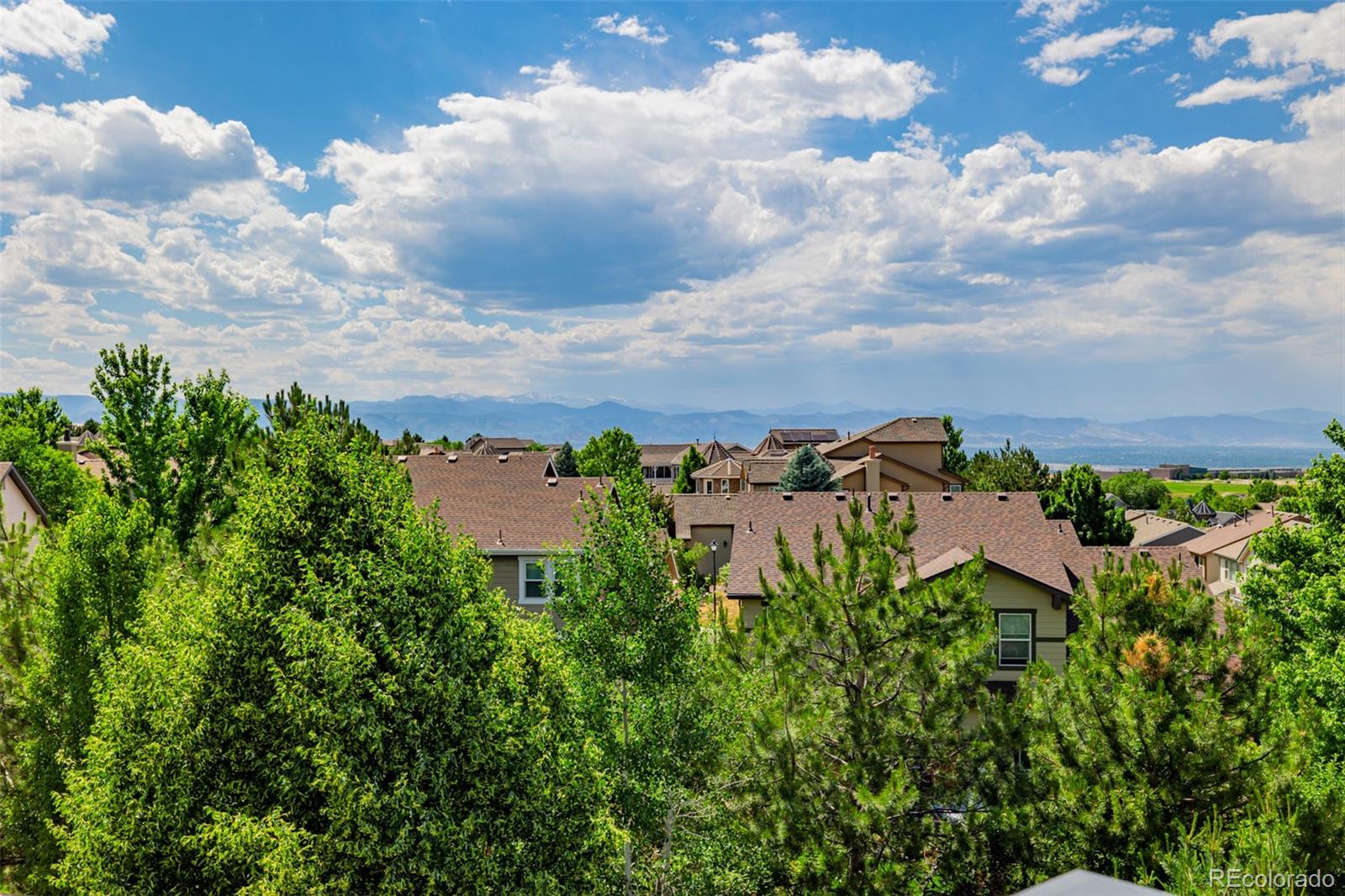 MLS Image #25 for 2905  newbury court,highlands ranch, Colorado