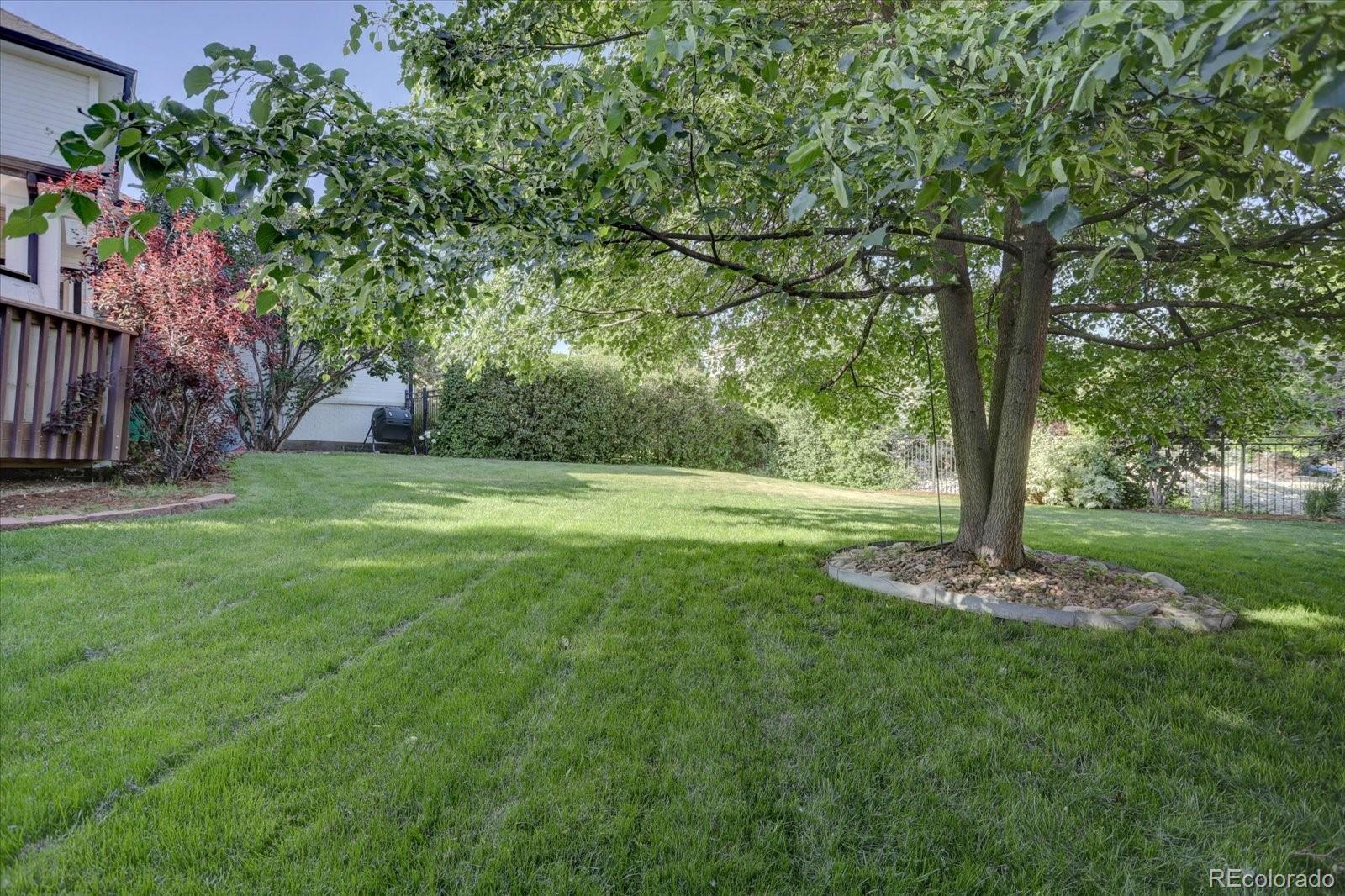 MLS Image #11 for 14338 w 56th way,arvada, Colorado