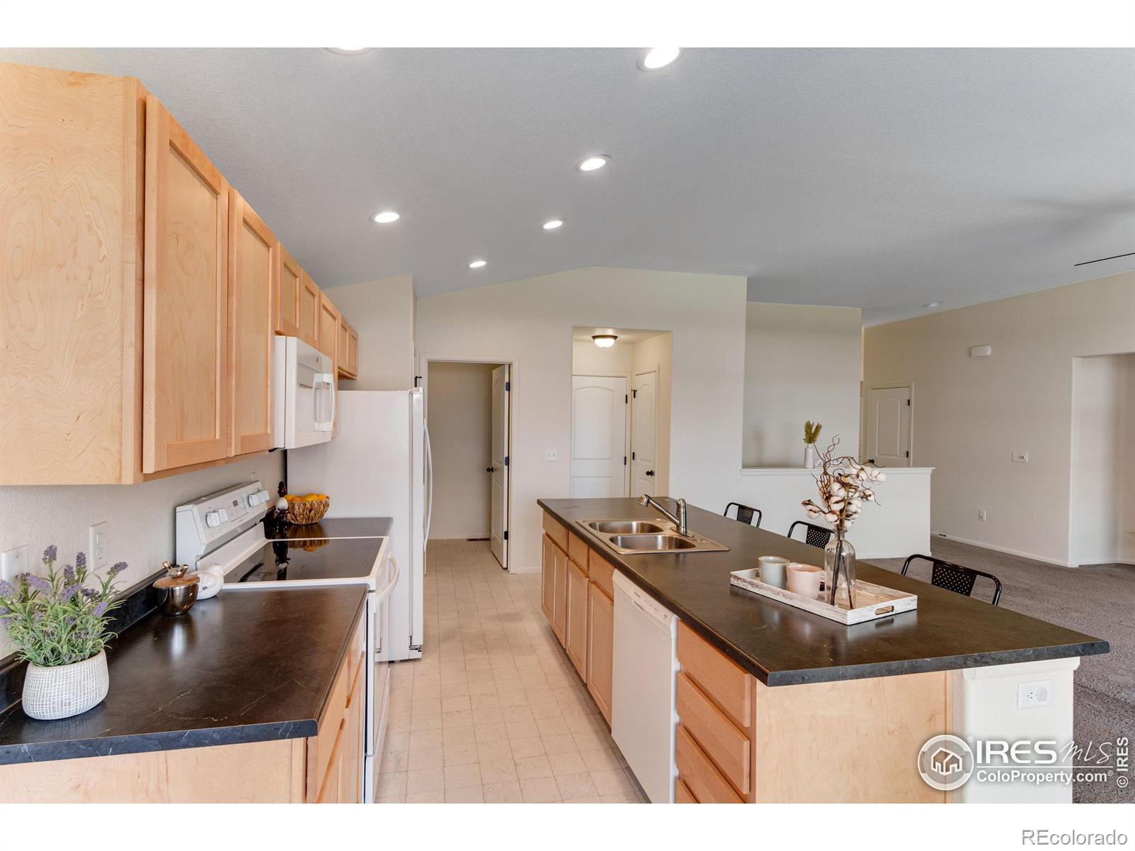 MLS Image #12 for 2084  blue moon court,windsor, Colorado