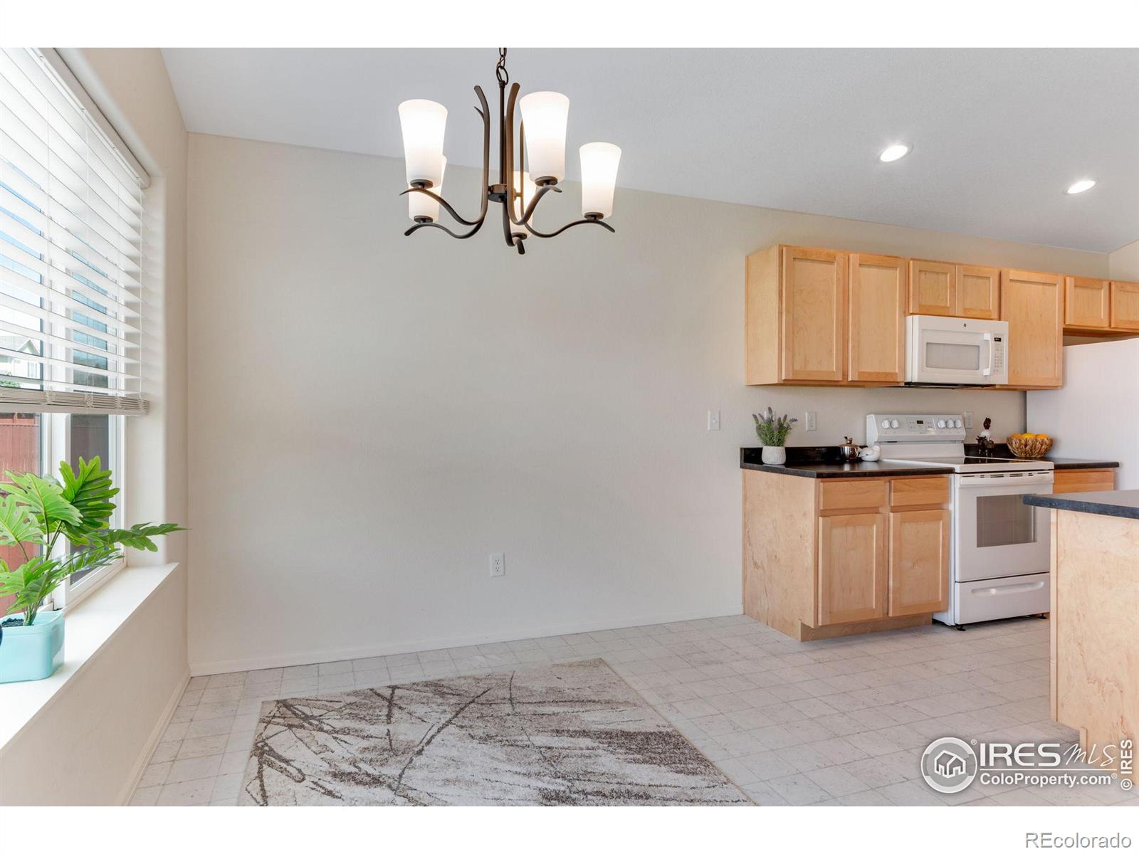 MLS Image #20 for 2084  blue moon court,windsor, Colorado