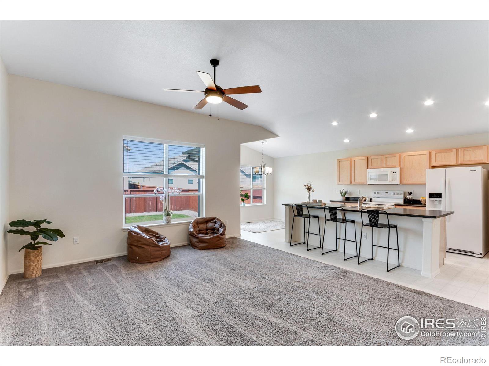 MLS Image #8 for 2084  blue moon court,windsor, Colorado