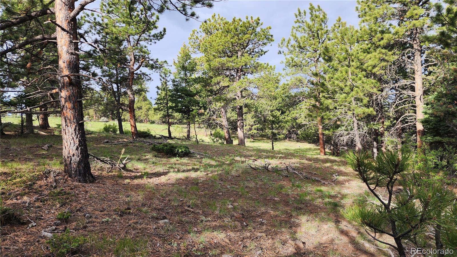 MLS Image #31 for 285  merlo drive,fort garland, Colorado