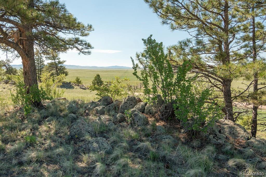 MLS Image #35 for 681  forge road,hartsel, Colorado