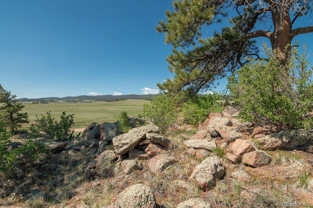 MLS Image #36 for 681  forge road,hartsel, Colorado