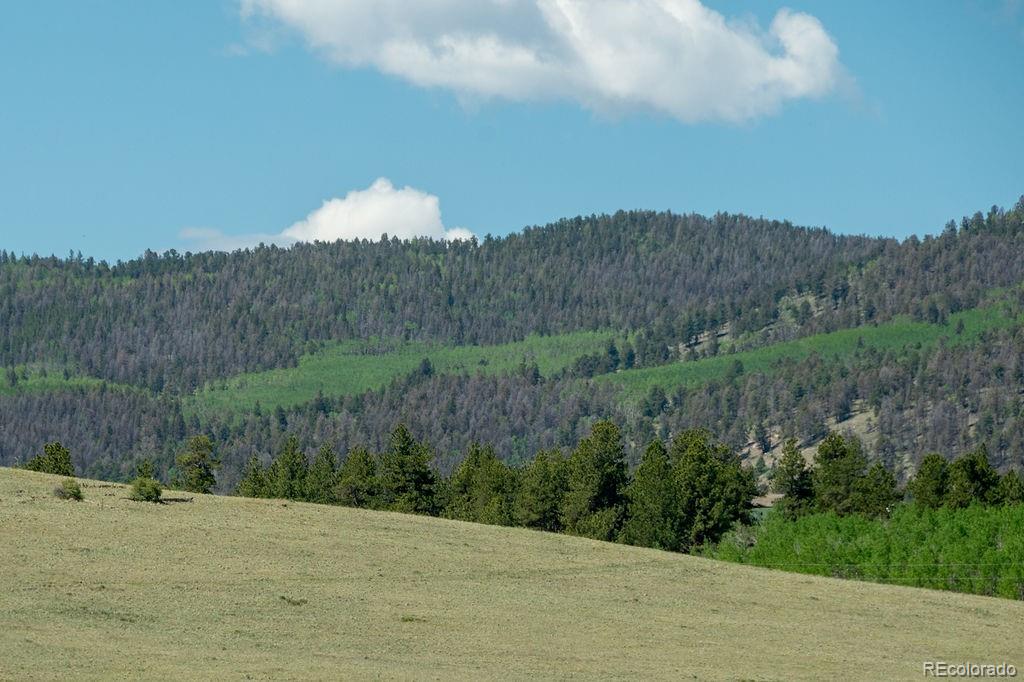 MLS Image #39 for 681  forge road,hartsel, Colorado