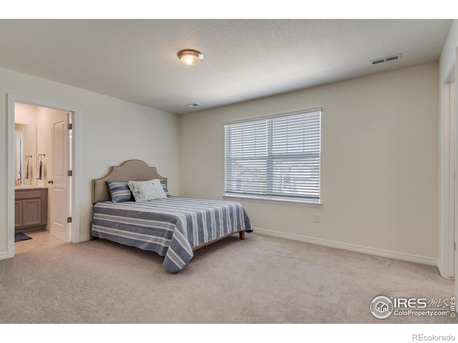 MLS Image #27 for 2467  ravenswood court,longmont, Colorado