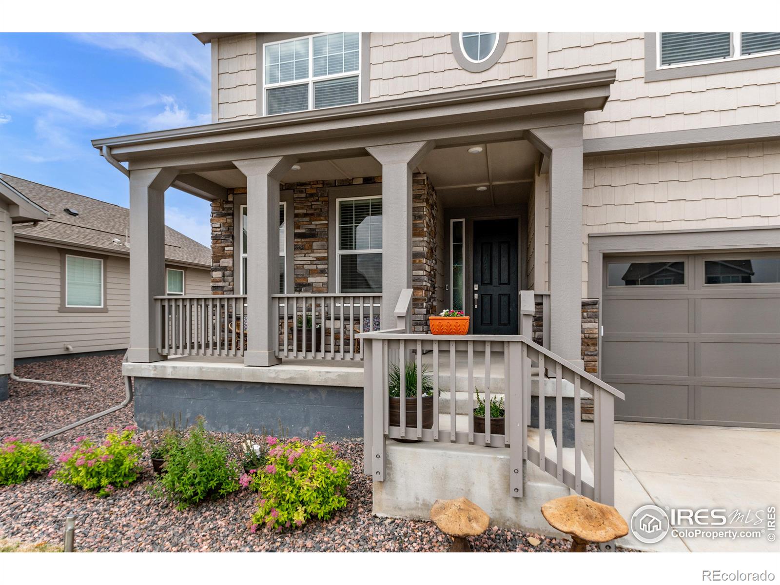 MLS Image #3 for 2467  ravenswood court,longmont, Colorado