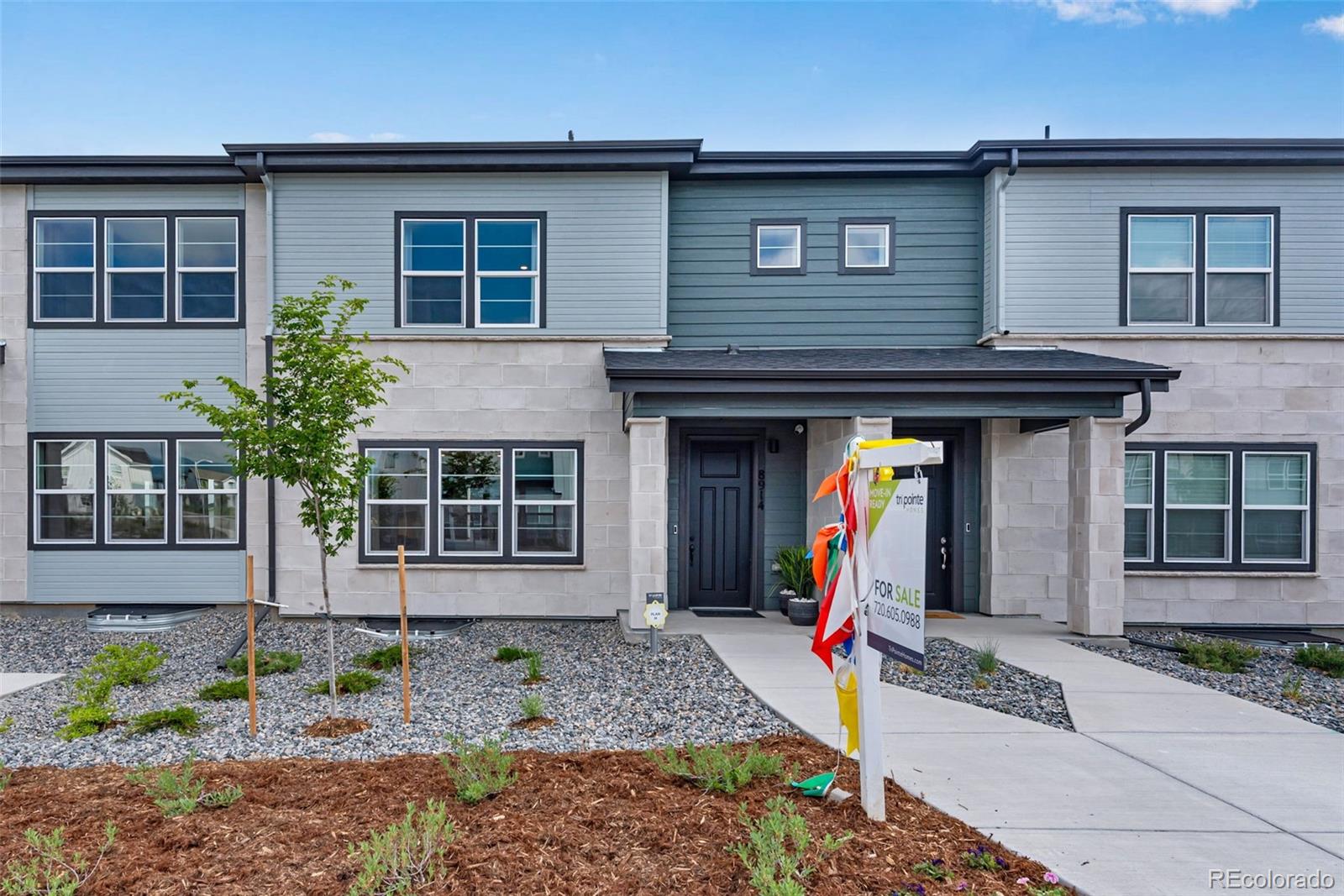 MLS Image #0 for 8914  fraser river street,littleton, Colorado