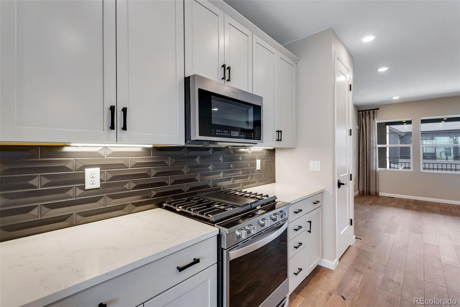MLS Image #6 for 8914  fraser river street,littleton, Colorado