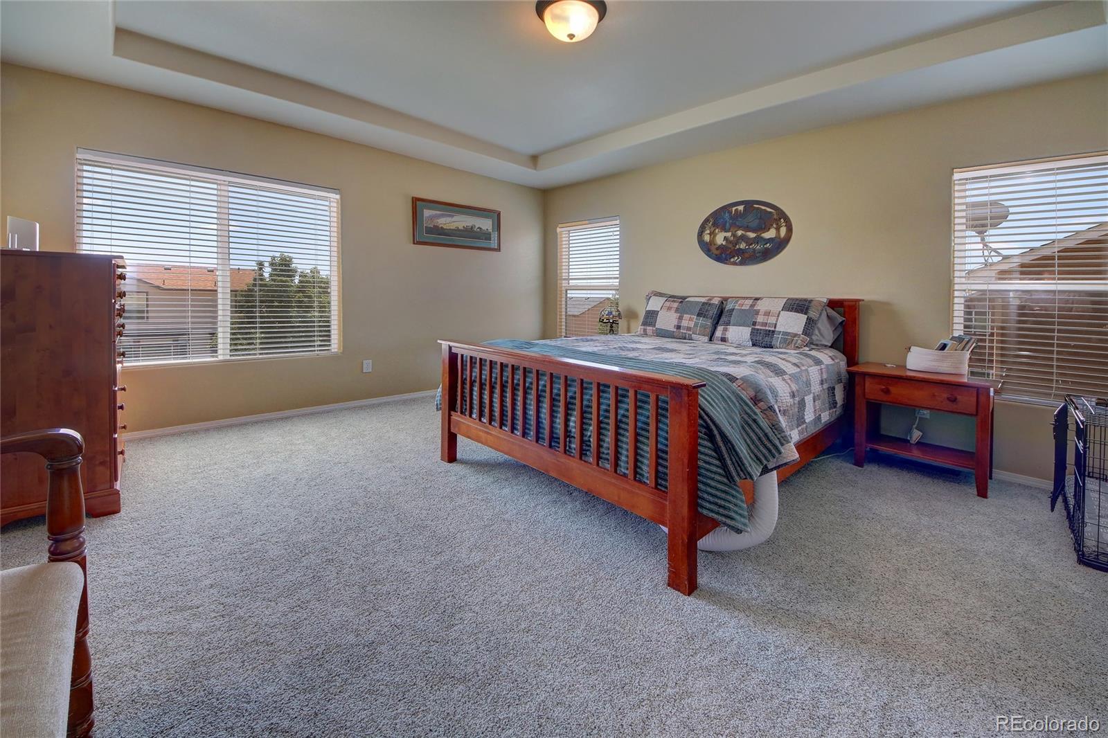 MLS Image #11 for 7021  wood lily drive,colorado springs, Colorado