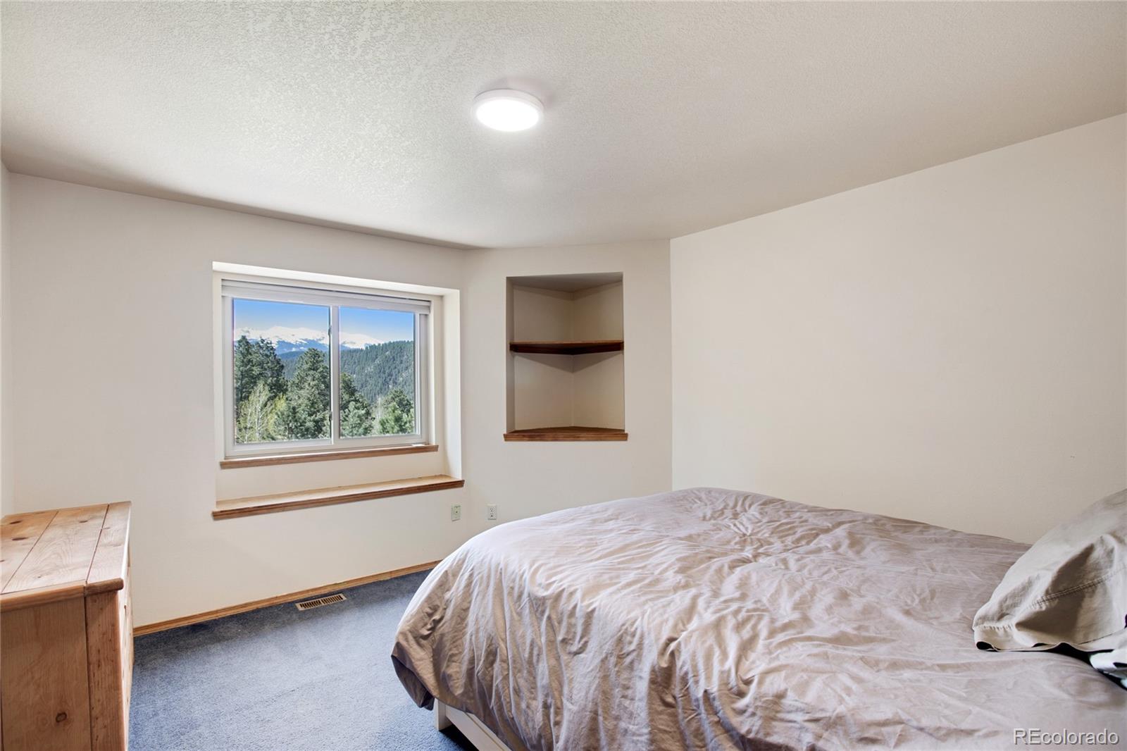 MLS Image #23 for 365  sun court,woodland park, Colorado