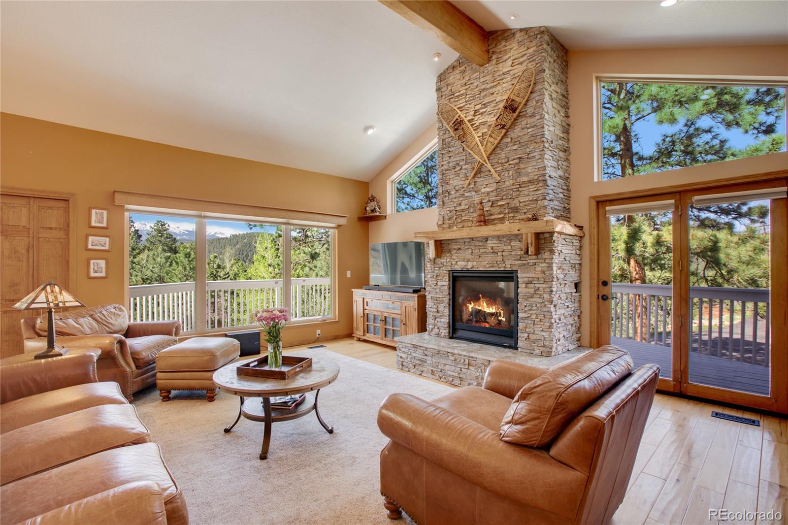 MLS Image #9 for 365  sun court,woodland park, Colorado