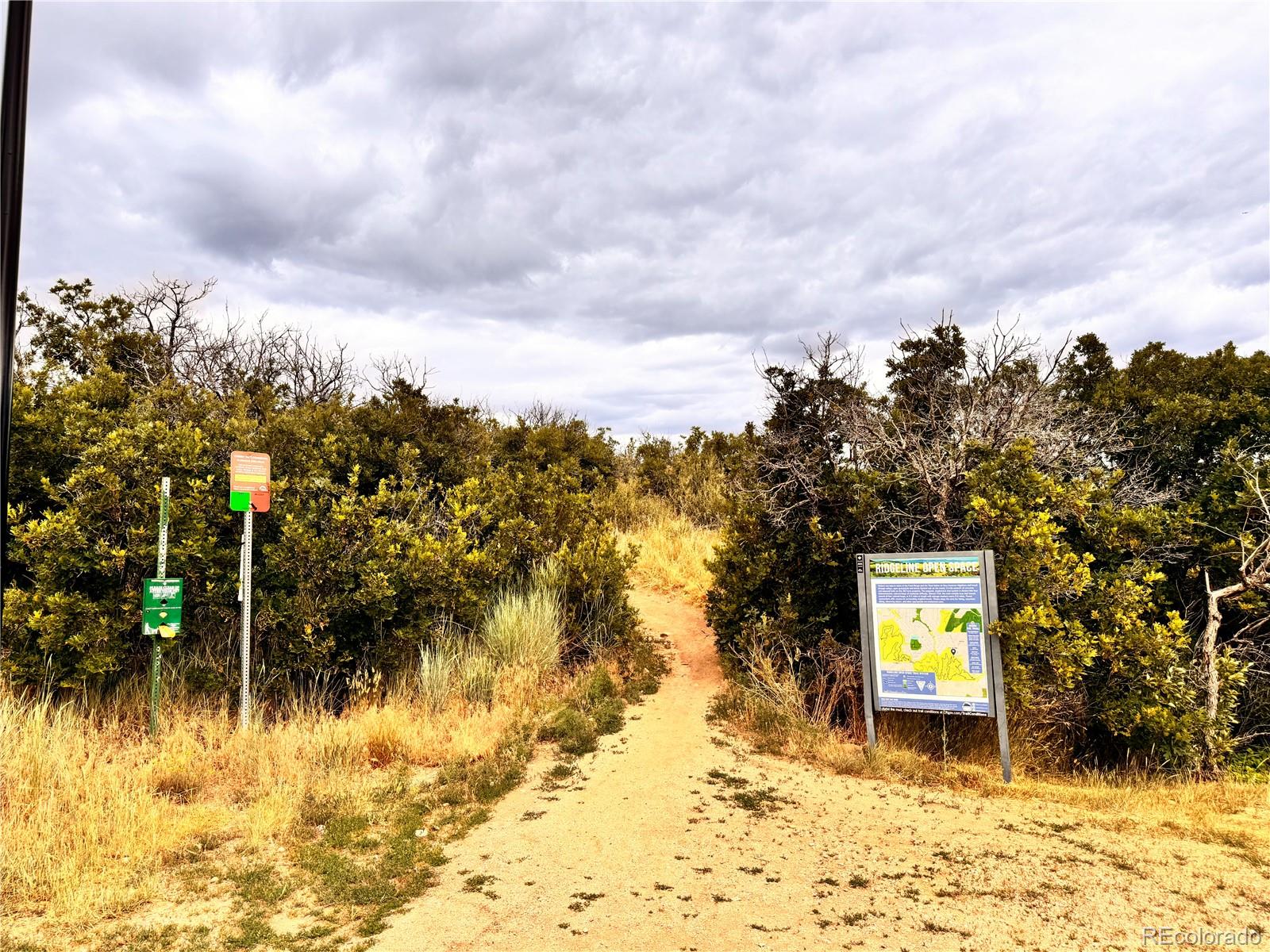 MLS Image #46 for 1284  freedom way,castle rock, Colorado