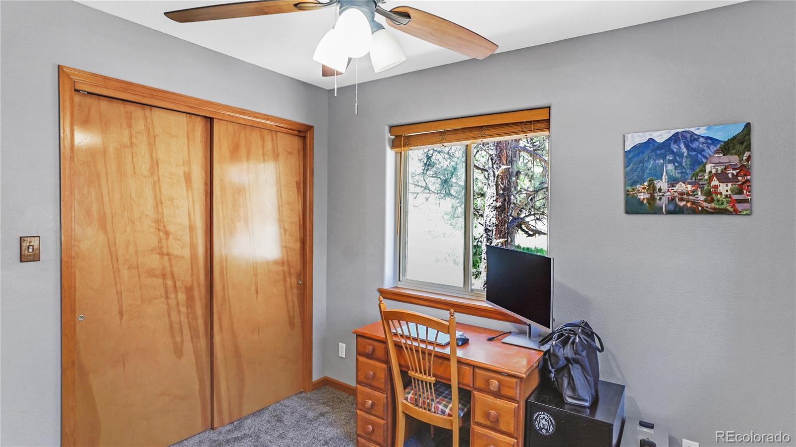 MLS Image #9 for 40  sunlight lane,bailey, Colorado