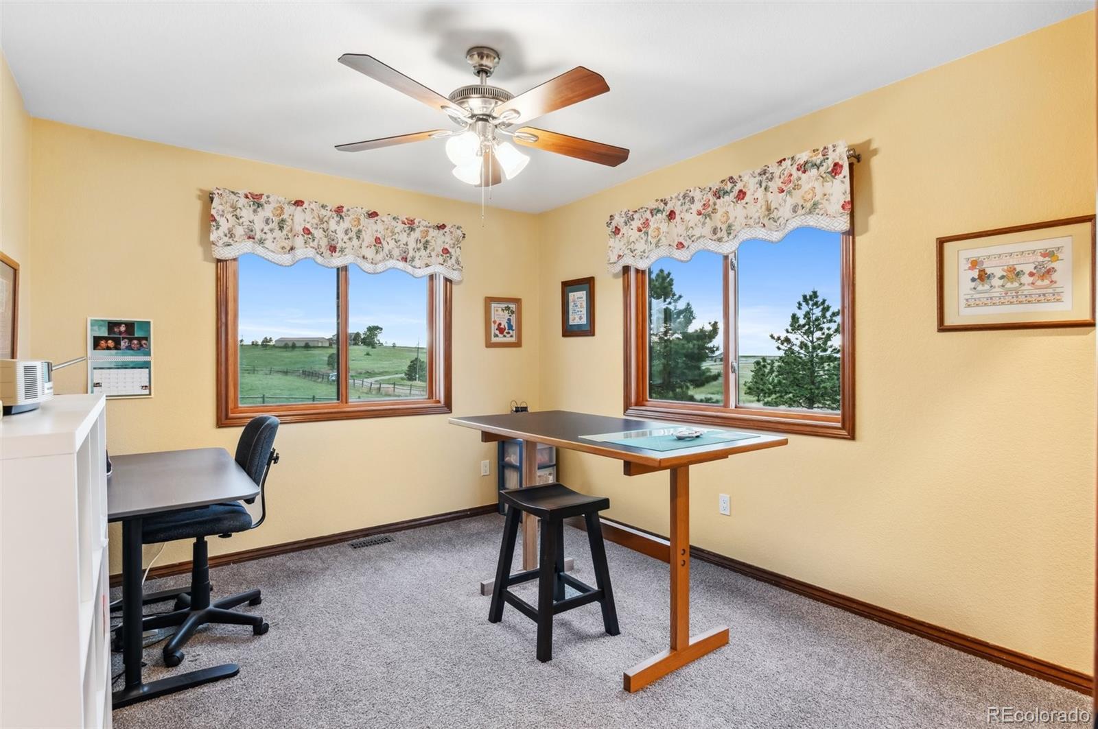 MLS Image #27 for 11798  sunset drive,parker, Colorado