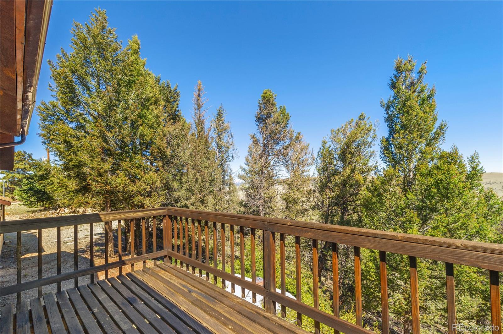 MLS Image #10 for 278  ridge road,fairplay, Colorado