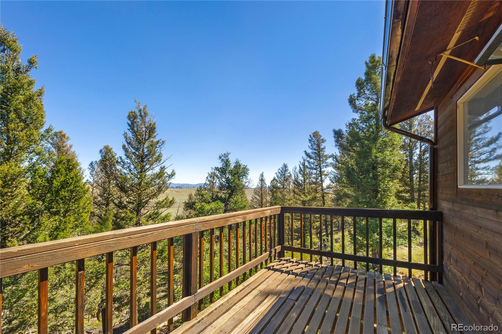 MLS Image #11 for 278  ridge road,fairplay, Colorado