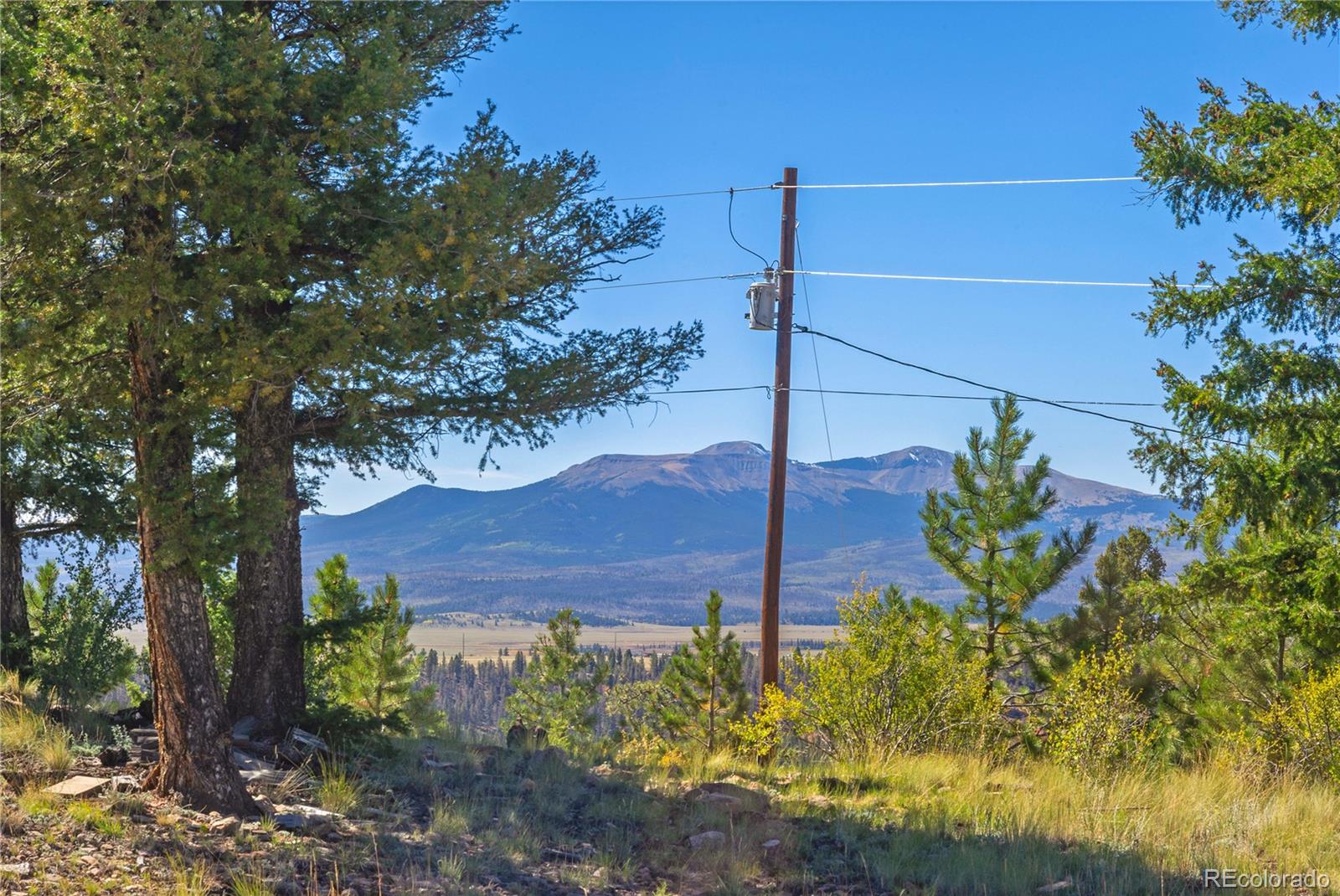 MLS Image #12 for 278  ridge road,fairplay, Colorado