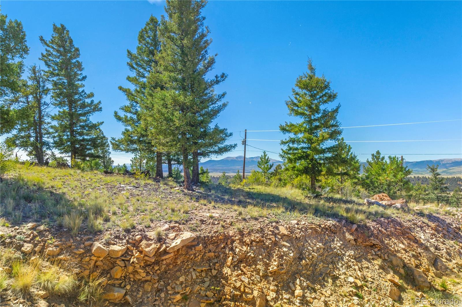 MLS Image #13 for 278  ridge road,fairplay, Colorado