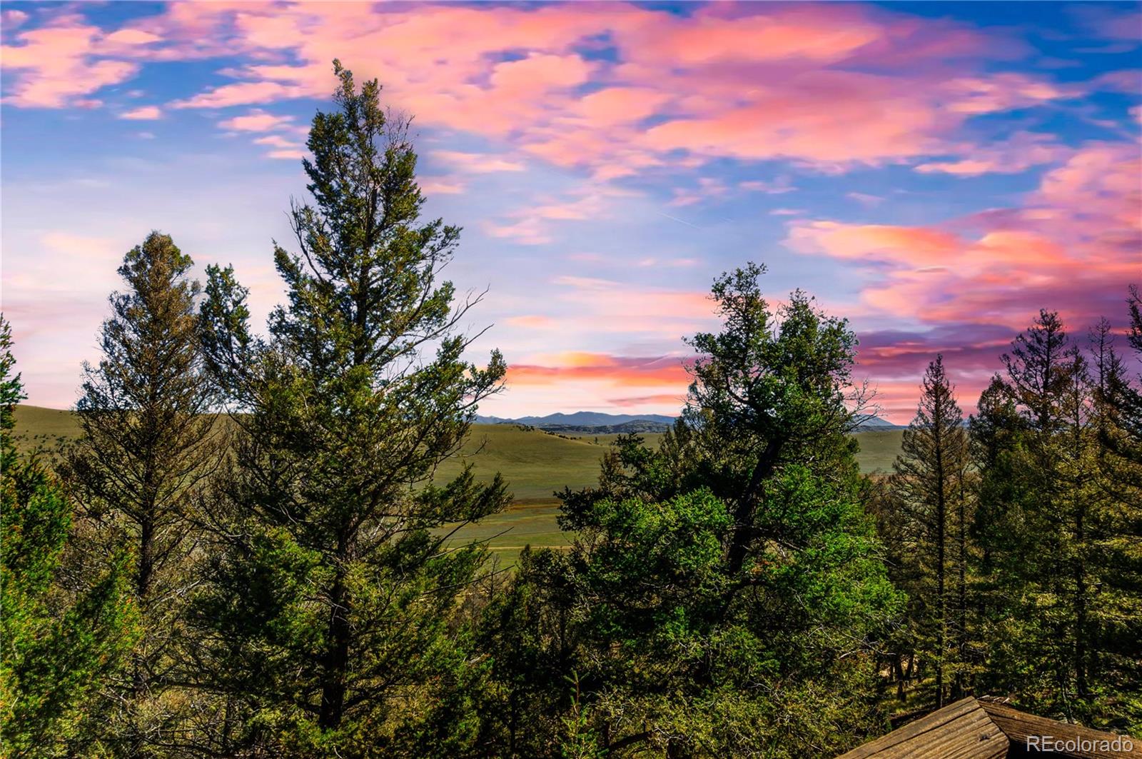 MLS Image #18 for 278  ridge road,fairplay, Colorado