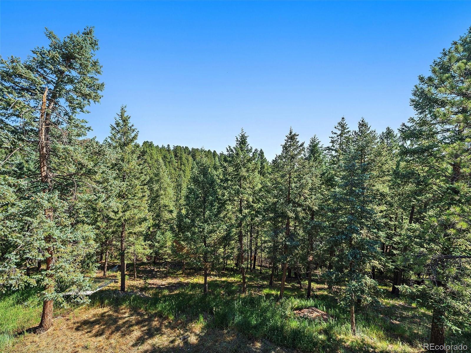 MLS Image #33 for 30287  isenberg lane,evergreen, Colorado