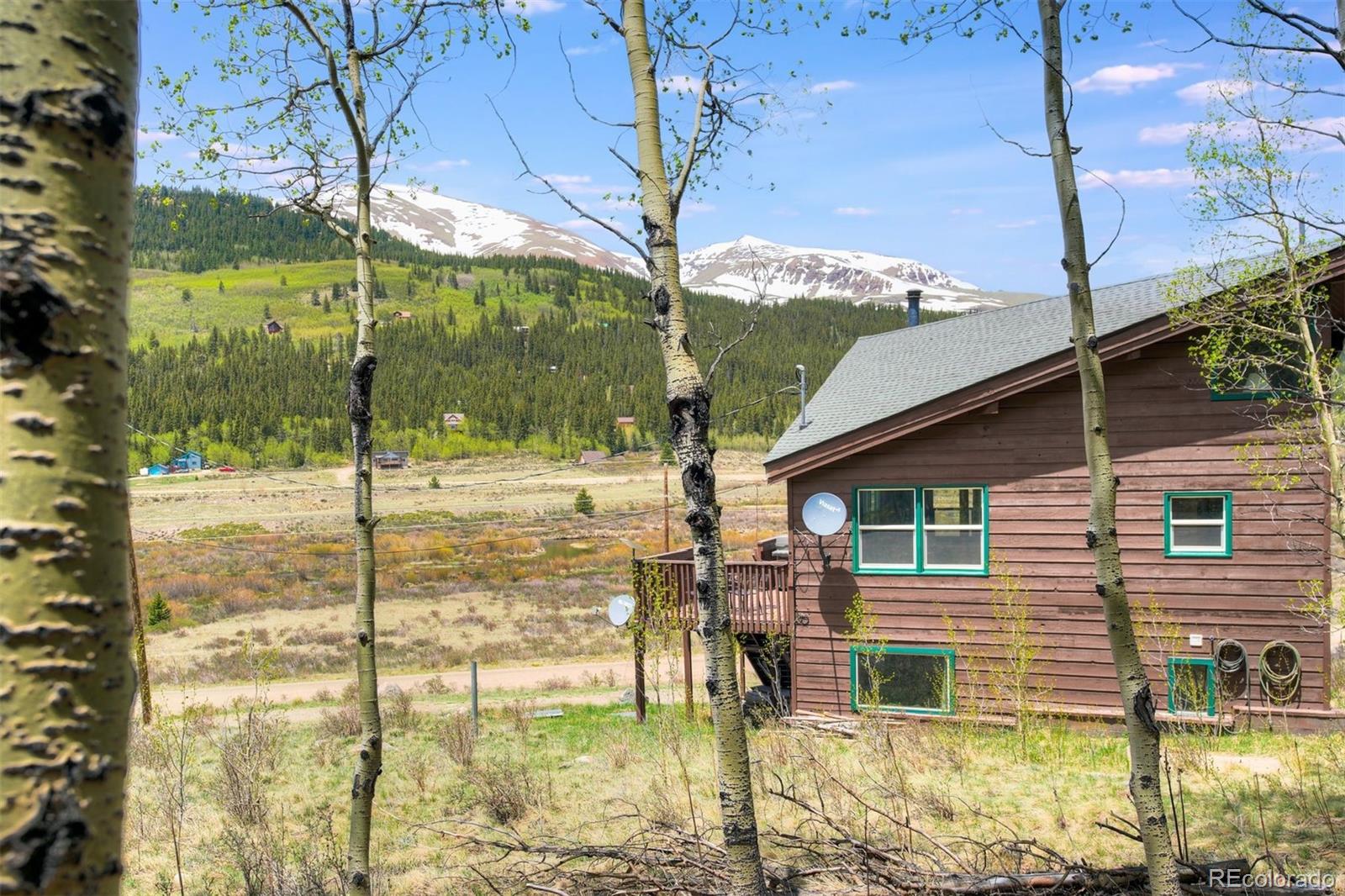 MLS Image #22 for 842  cr-4 ,alma, Colorado