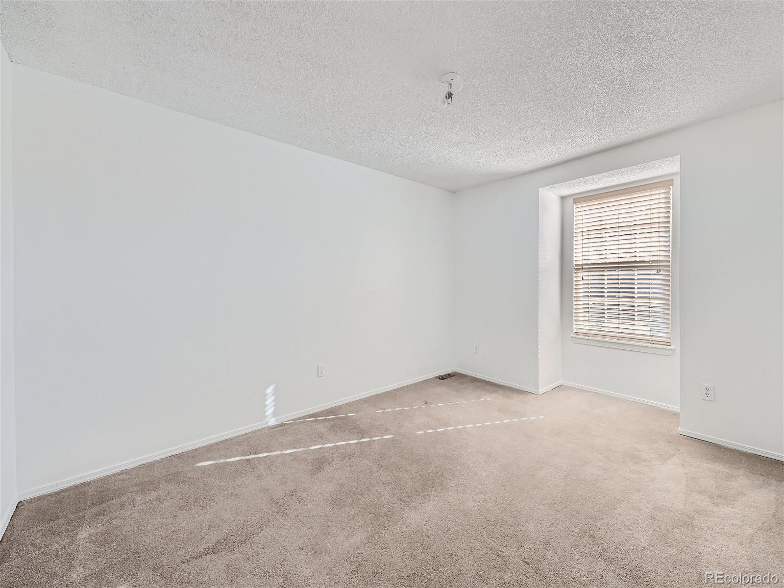 MLS Image #15 for 19142 e 46th avenue,denver, Colorado