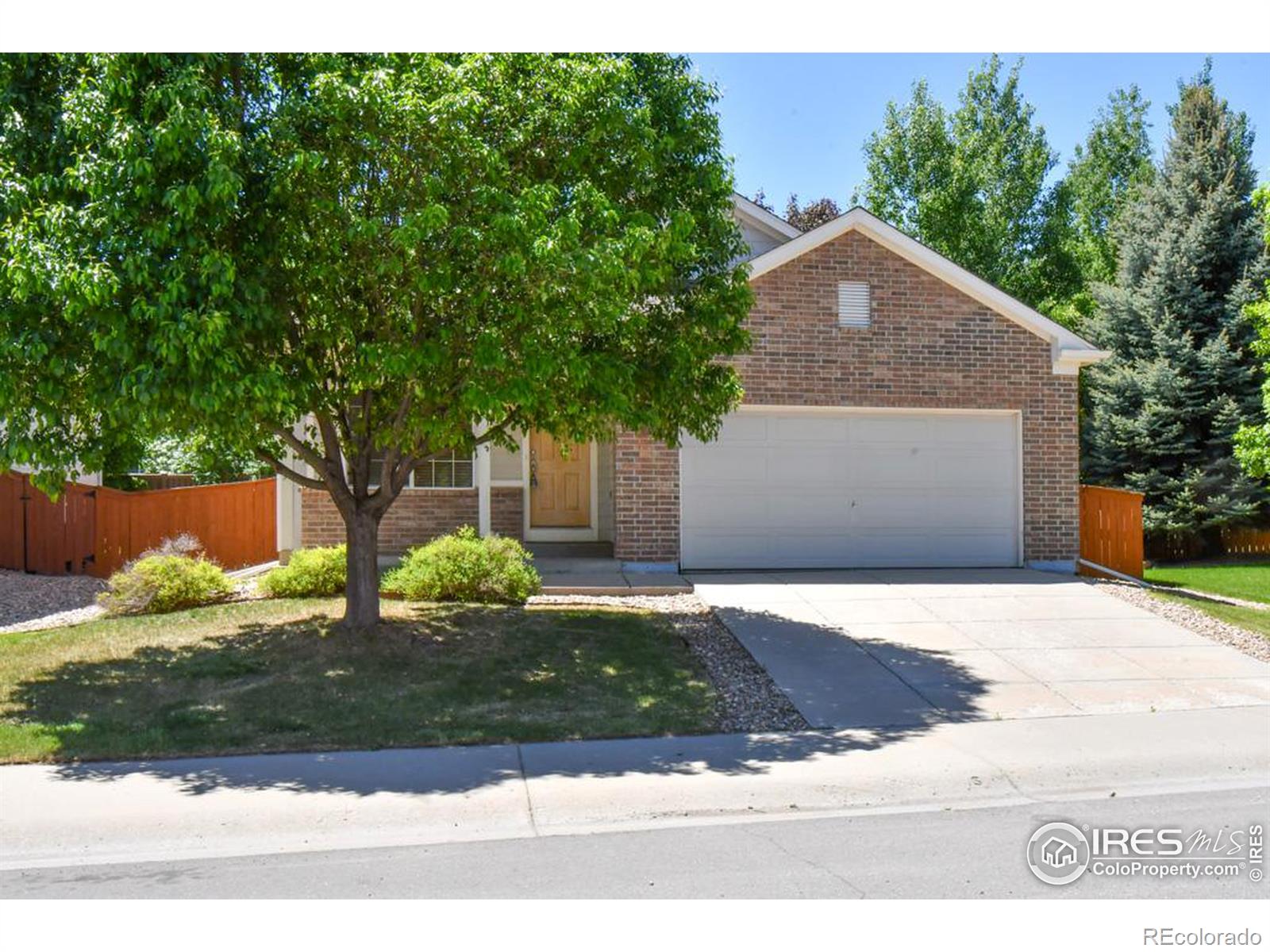 MLS Image #0 for 1584  new mexico street,loveland, Colorado