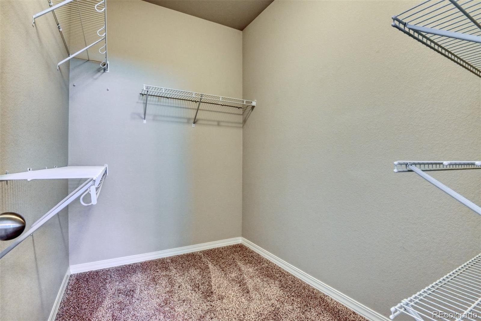 MLS Image #11 for 2025  paddy grove,colorado springs, Colorado