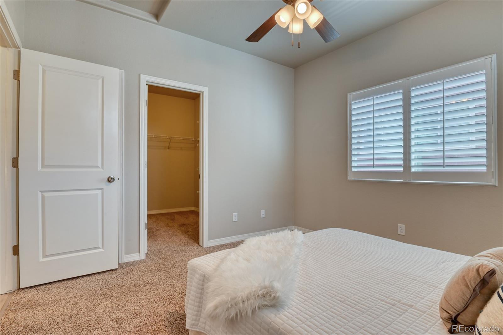 MLS Image #9 for 2025  paddy grove,colorado springs, Colorado