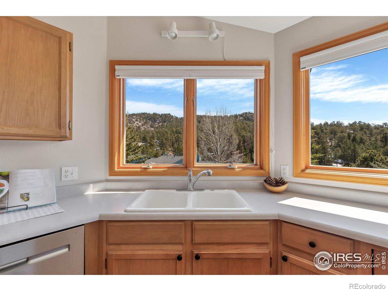 MLS Image #15 for 1861  raven avenue,estes park, Colorado