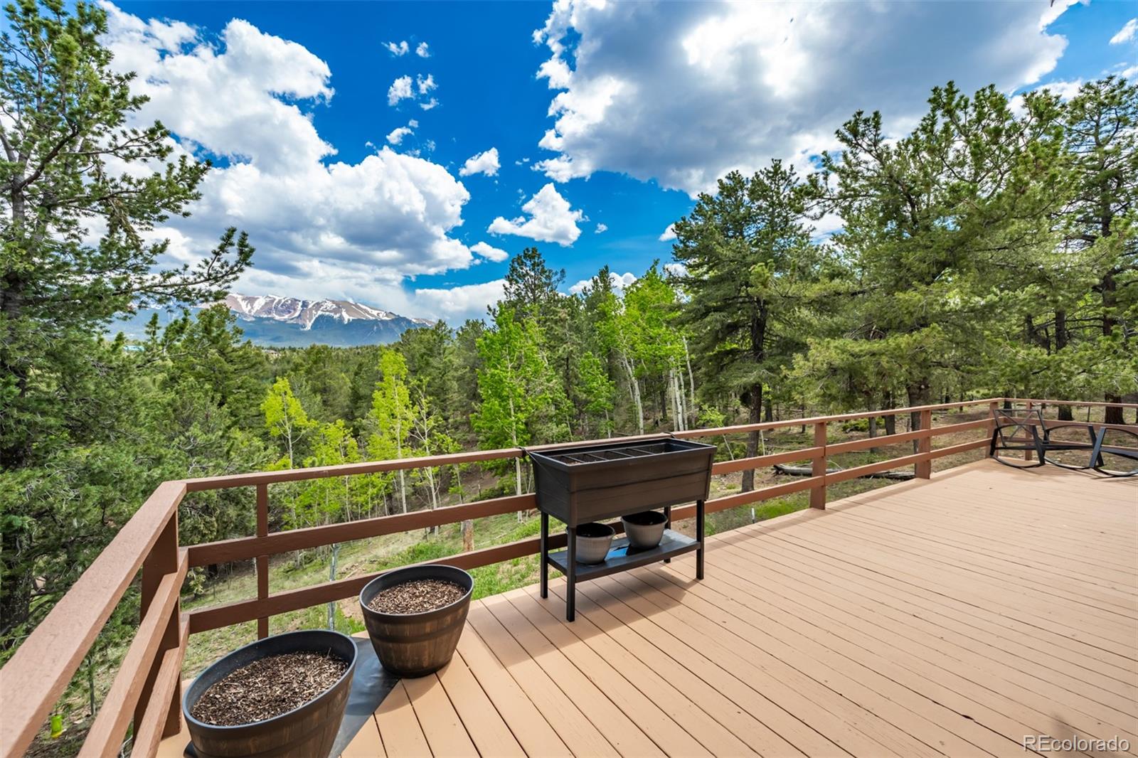 MLS Image #13 for 255  elk lane,woodland park, Colorado