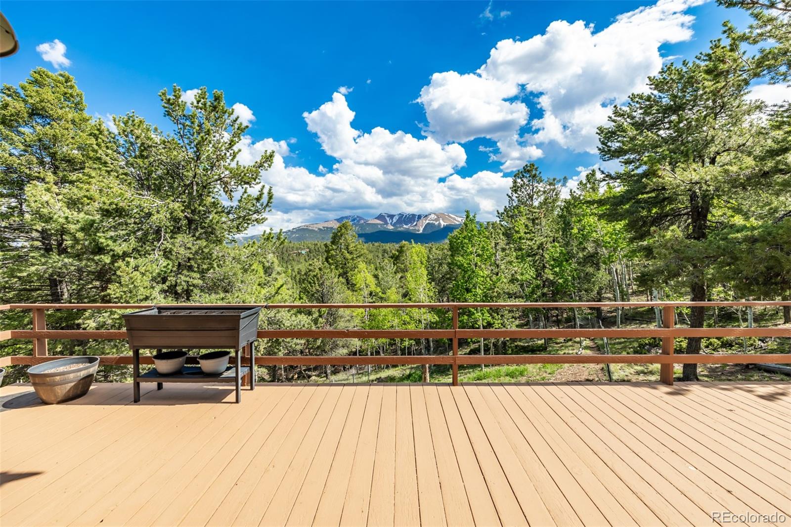 MLS Image #14 for 255  elk lane,woodland park, Colorado