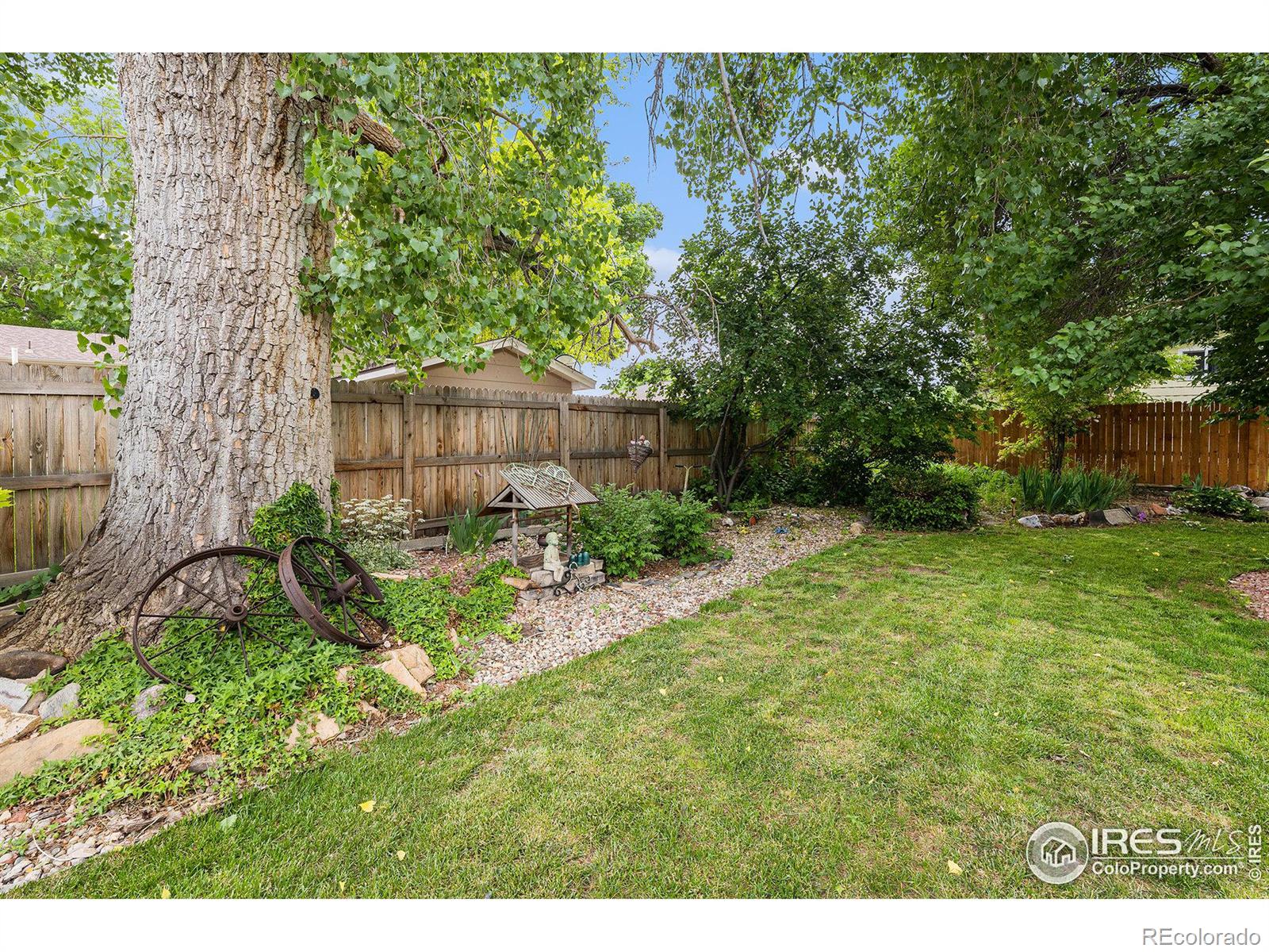 MLS Image #21 for 2444  silver fir avenue,loveland, Colorado