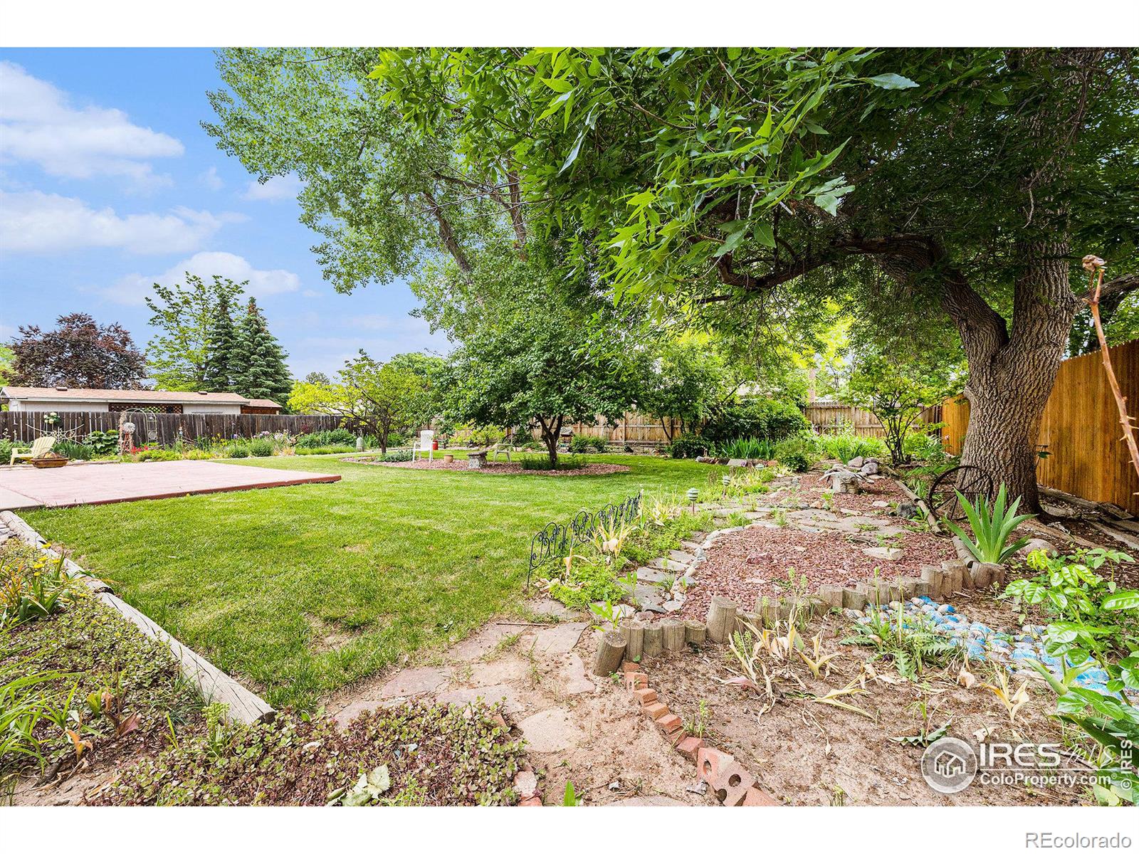 MLS Image #22 for 2444  silver fir avenue,loveland, Colorado