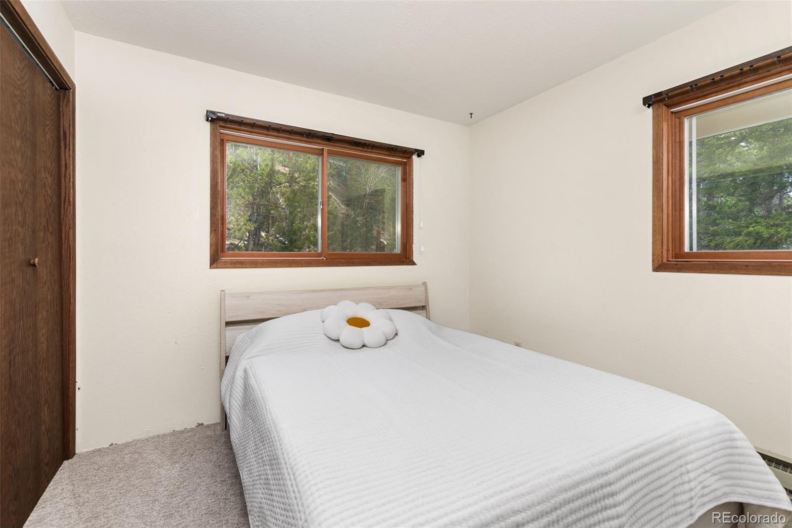 MLS Image #10 for 542  harris drive,idaho springs, Colorado