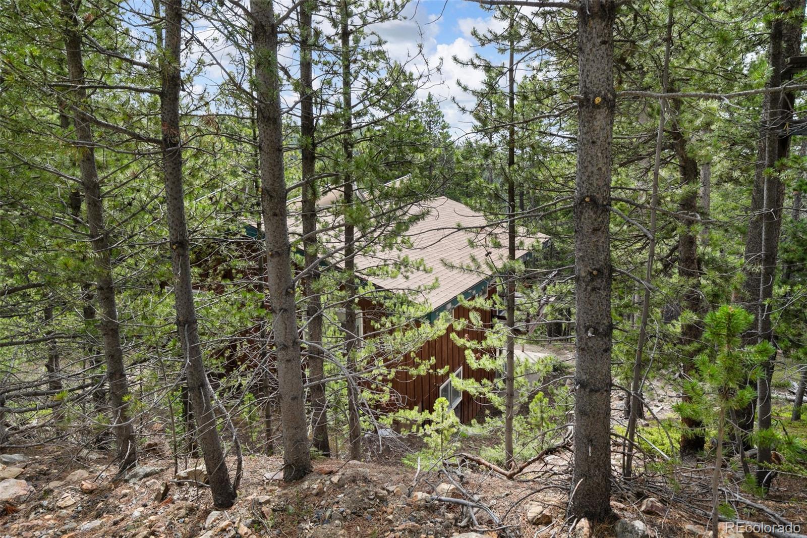 MLS Image #26 for 542  harris drive,idaho springs, Colorado