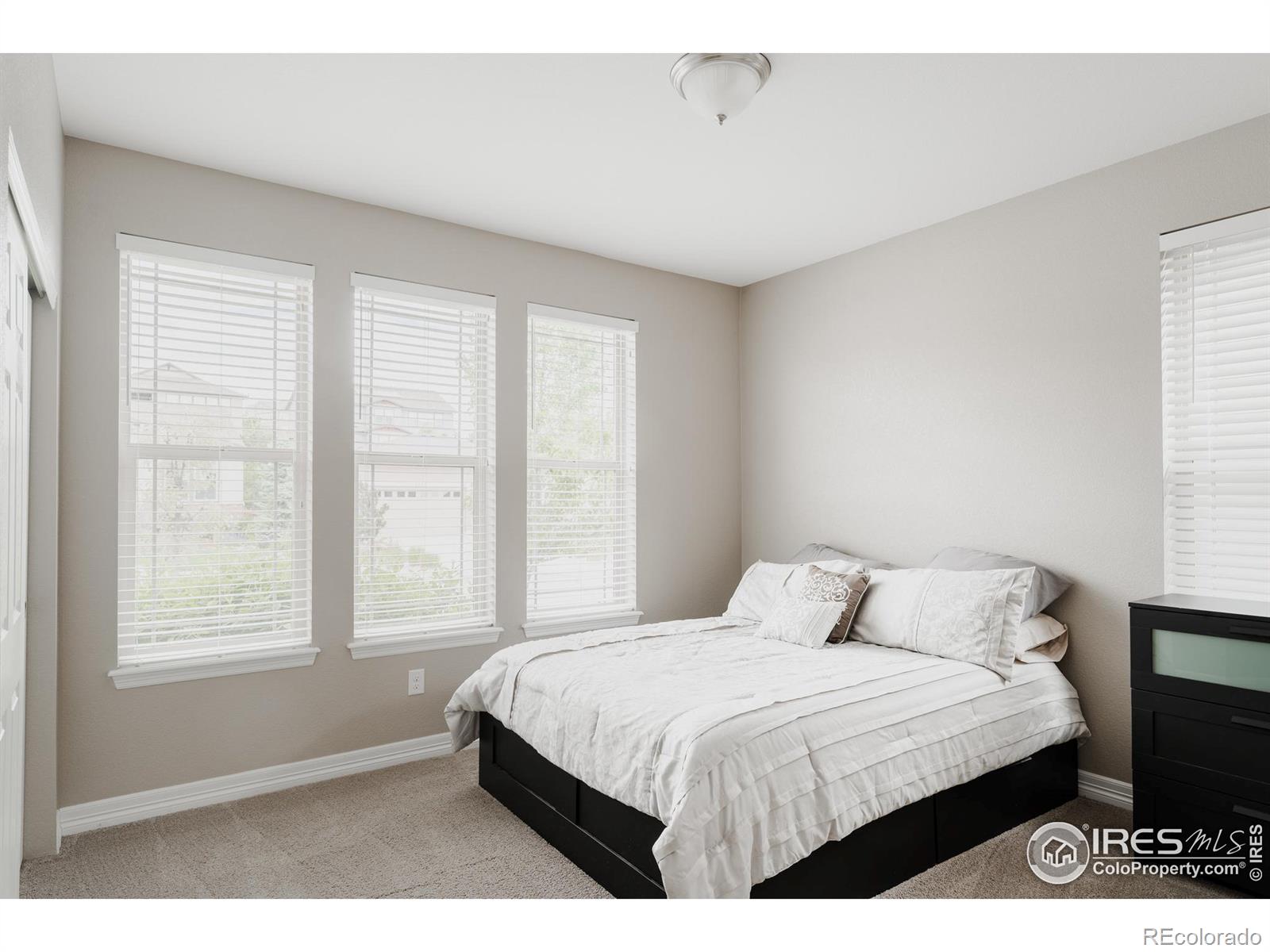 MLS Image #16 for 9524  moss way,arvada, Colorado