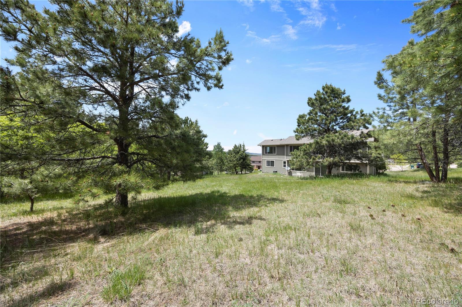 MLS Image #35 for 1325  lone scout lookout ,monument, Colorado