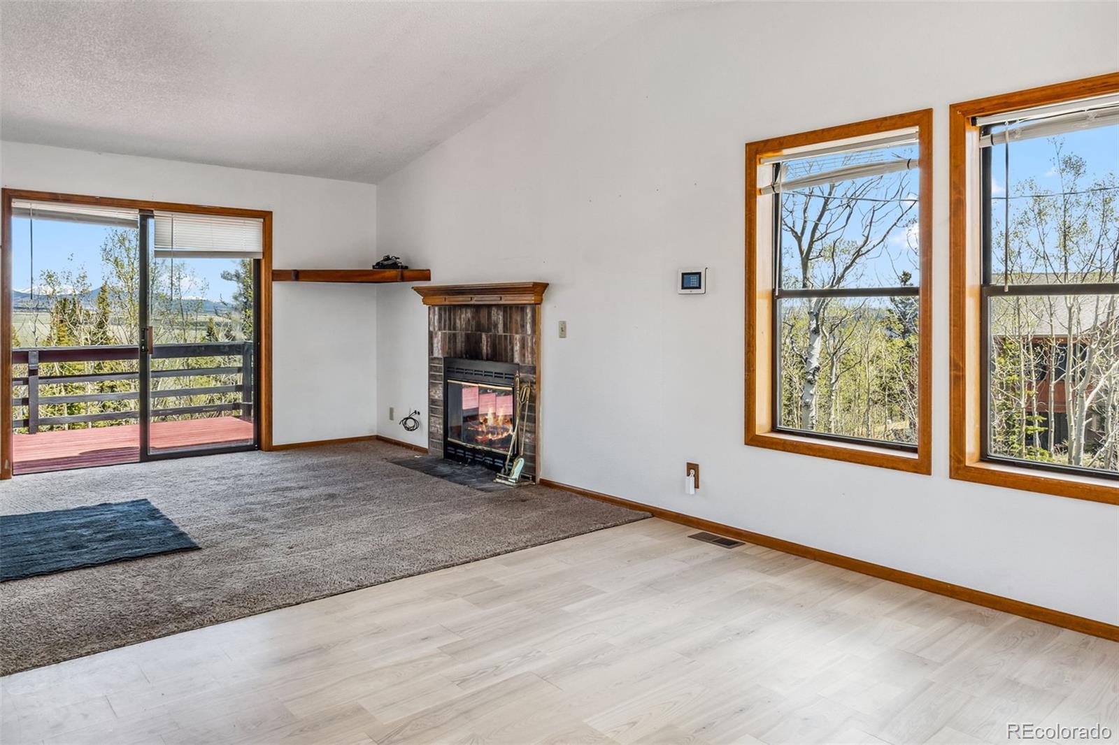 MLS Image #10 for 681  sheep ridge road,fairplay, Colorado