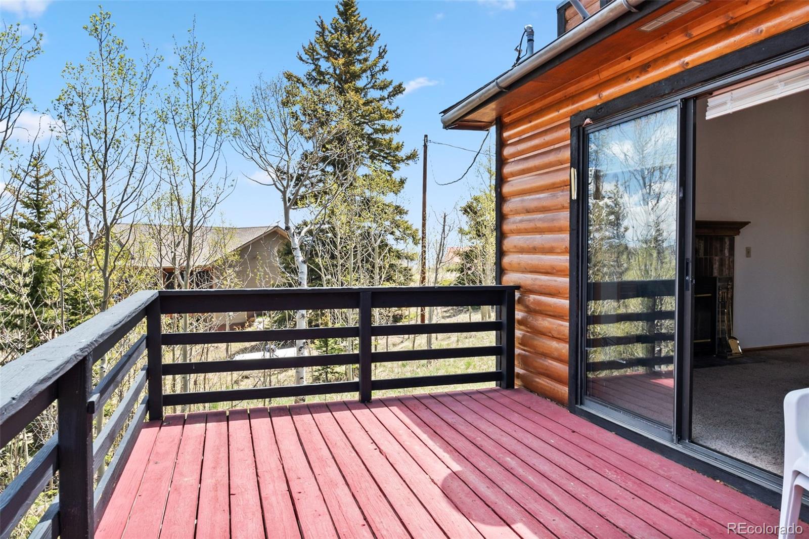 MLS Image #20 for 681  sheep ridge road,fairplay, Colorado