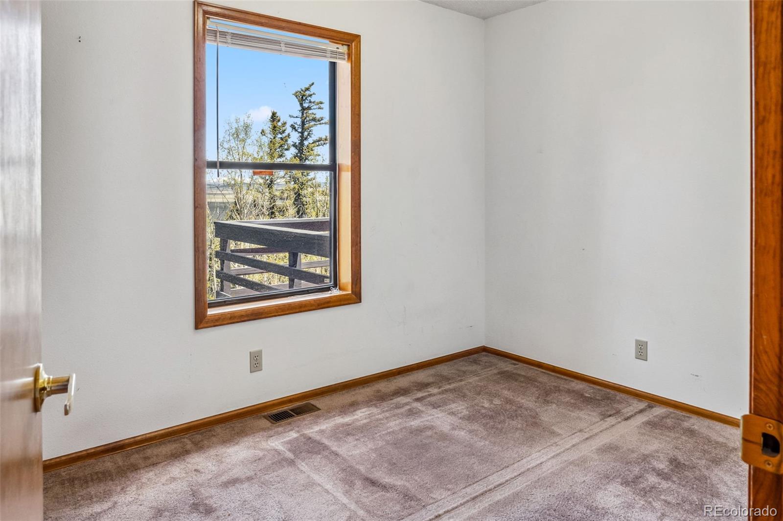 MLS Image #28 for 681  sheep ridge road,fairplay, Colorado